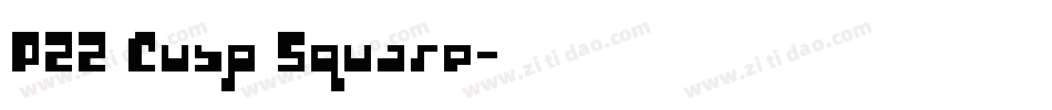 P22 Cusp Square字体转换